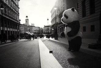 离开几年再看国内，普通人最应重视哪些资产