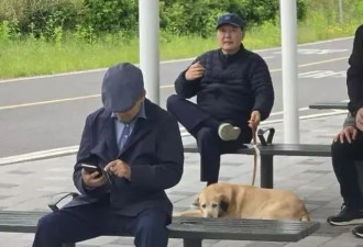 尹锡悦被拍到在公园"悠闲遛狗"，身边带着3名保镖