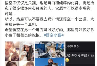 杜淳妻子为网红小猫发声：请还悟空一个公道