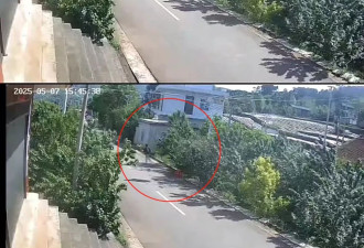 老人摘樱桃摆路边被人顺走 家属报警:不要赔偿要态度