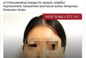 ICE在纽约执法！多名亚裔被捕，华裔在内
