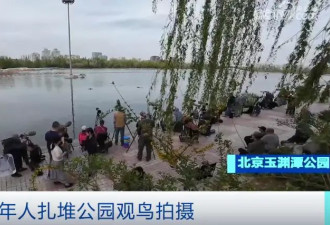 暴涨超100%！34万人“入圈”，什么这么火？