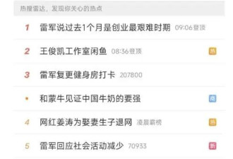 低落的雷军，和漩涡里的小米汽车 ....