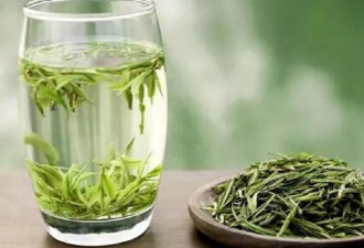 科学家发现 茶叶鲜味流失的奥秘