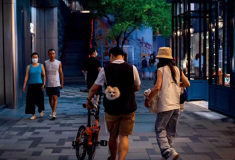 宠物店跑路，越来越多