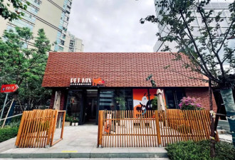 宠物店跑路，越来越多