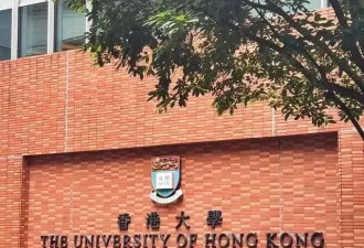 学历一路造假，环球小姐被判入狱240天