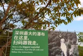 游客吐槽“深圳最大的瀑布”是小山涧，景区回应