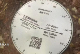 男子热门影视取景点打卡,一脚踩空摔下悬崖