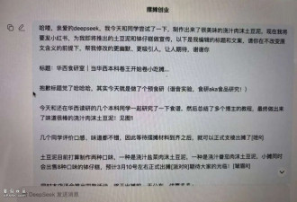 复旦硕士退学摆摊 一场“有计划的爆火”