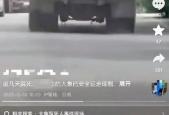 云南发生野象伤人事件，官方回应：有一人死亡