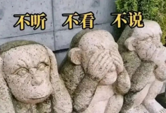 贾玲这个咖位的导演？女明星会有更年期？...