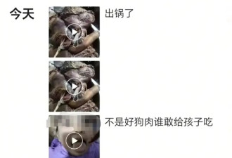 店铺老板假借领养名义烹食流浪狗，警方回应