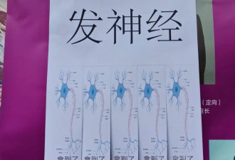 一夜之间，各地高校都贴满了这种海报？