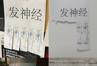 一夜之间，各地高校都贴满了这种海报？