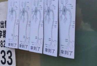 一夜之间，各地高校都贴满了这种海报？