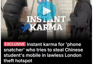 中国博士生被偷手机后将贼拿下 英媒：现世报