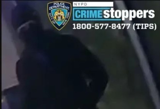太嚣张了！纽约青少年移民组帮派 围殴纽约警察