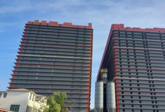中国越来越多猪被饲养在高耸矗立的"猪塔"里