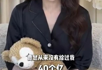 甘薇宣布与贾跃亭离婚！否认转移40亿资产
