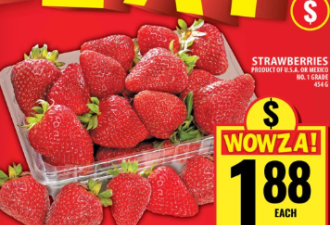 本周特价：大西瓜$3.44 草莓$1.88 猪肋排$2.49 辛拉面$0.75