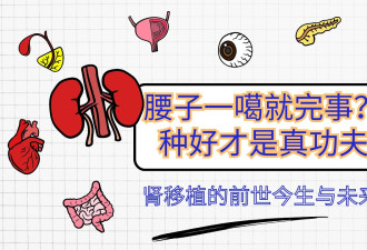 腰子噶了种好才是真本事 肾移植的前世今生与未来