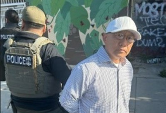 ICE洛杉矶一周行动 逮捕200多名无证移民