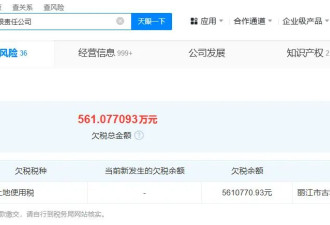 李亚鹏仍被法院限消 名下公司欠税561万