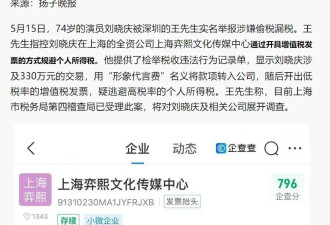 刘晓庆被举报偷漏税金额巨大 税务部门将展开稽查
