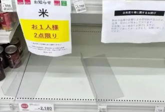 日本终于“叫停”了一路飞涨的米价 41万吨大米去哪了？