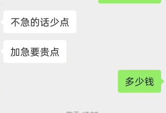 高校限制毕业论文AI使用率引争议 纯手写论文也不过关？