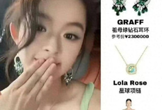 230万耳环45 万手镯过亿豪宅 网吁彻查18岁女星