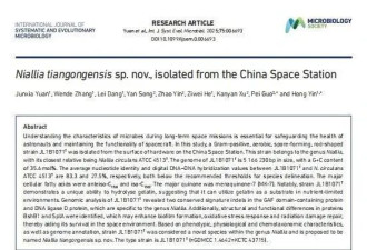 首次公布！中国空间站内发现微生物新物种