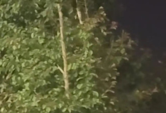 新疆多地现不明飞行物，目击者称和月亮一样亮