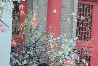 汪小菲大婚全过程曝光，对比大S婚礼太相似