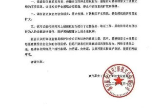 18岁女星父亲回应争议：百万耳环非正品 我没贪污