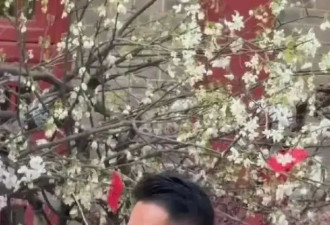 汪小菲在婚礼上哭了！连说两句我愿意，儿女缺席