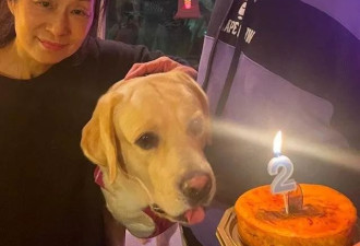 港星艾威妻子病逝，他为救妻花光全部积蓄