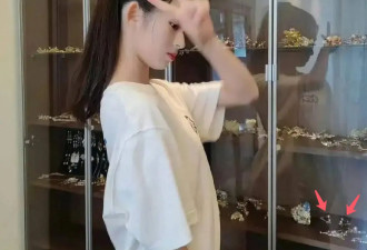 真相越来越惊人，难道又是一个“北极鲶鱼”？