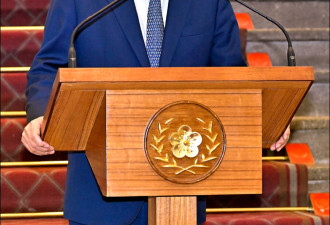 罢免总统：国民党迎合北京的一场闹剧