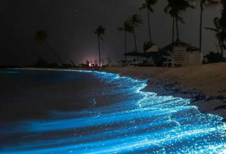 马尔代夫夜游指南 在星海梦境中邂逅