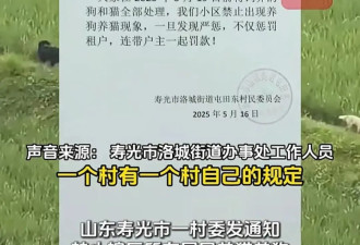 山东和重庆发生的事，一个管得多一个管得少