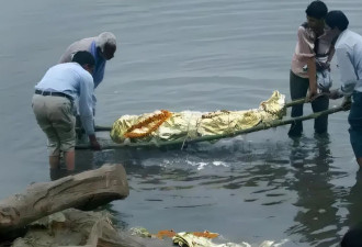 恒河“捞尸人”：每天捞12具浮尸，翻口袋找零钱