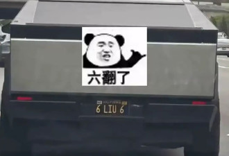 在美国，中国人的车牌充满拉丁新语和阴阳八卦
