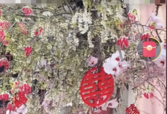马筱梅发言一句话戳中大S痛点，张兰乐开花
