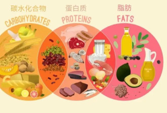这些减肥的坑 你踩过吗？