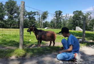 在加拿大，孩子3点放学后都干啥？