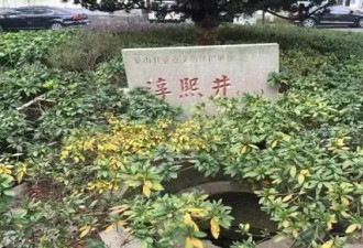 点赞“寒碜”的县政府大院，是在赞什么？