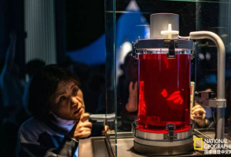 医学颠覆性突破：你身体的器官或许真的可以再生了