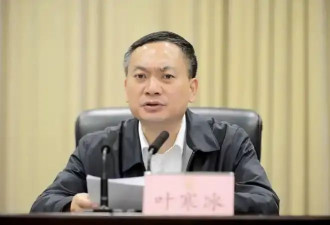 四川省副省长、省公安厅厅长叶寒冰被查